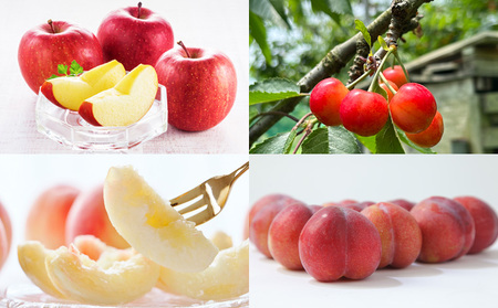 【定期便4回】☆フルーツ王国山形☆『りんご、紅秀峰、白桃、すもも』 FY25-310