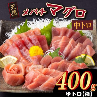 ふるさと納税 室戸市 天然メバチマグロ 【 中トロ 】400g(柵)