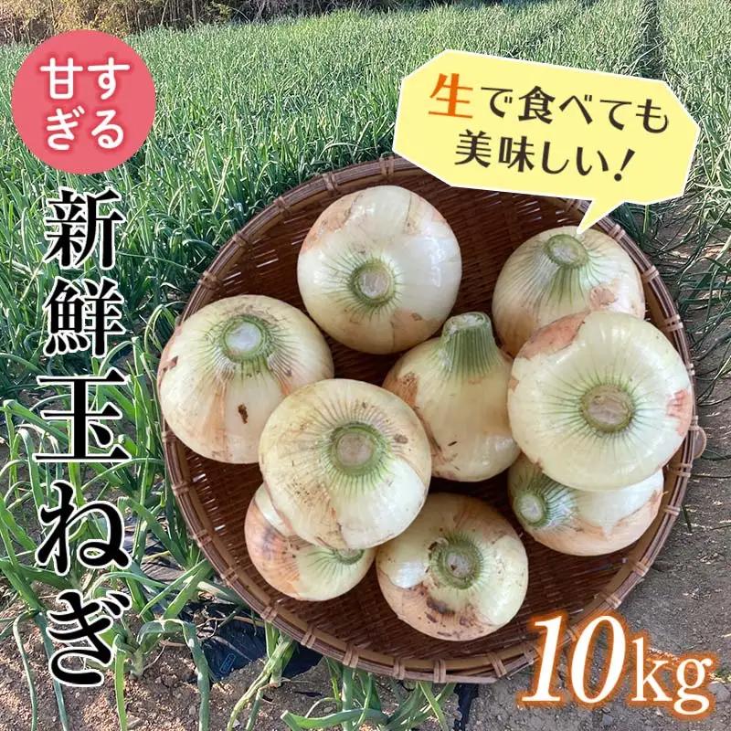 玉ねぎ 10kg 2027年度先行予約 玉ねぎ F20E-681