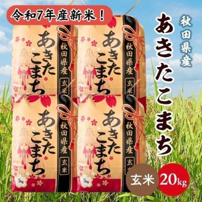 ふるさと納税 潟上市 新米!令和7年産 秋田県産あきたこまち 20kg(5kg×4袋)(玄米)