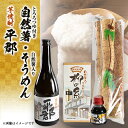 【ふるさと納税】自然薯と柳の糸と芋焼酎「平郡」セット【配送不可地域：離島】【1083736】