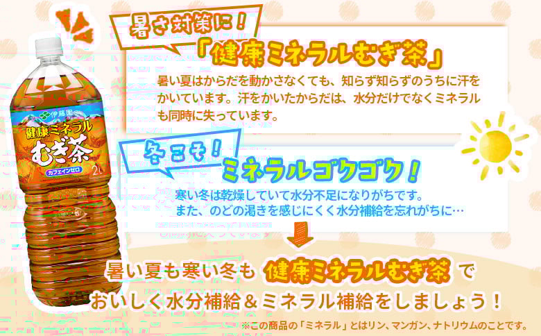 『定期便：全11回』健康ミネラルむぎ茶2L×6本×2箱
