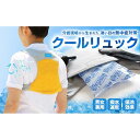 【ふるさと納税】クールリュック　フリーサイズ／サックス×ブルー | 香川県 坂出市 香川 四国 楽天ふるさと 納税 返礼品 支援 リュック レディース メンズ リュックサック 熱中症対策 暑さ対策 クール 保冷 男女兼用 工事現場 屋外 アウトドア 便利グッズ 女性 男性 便利