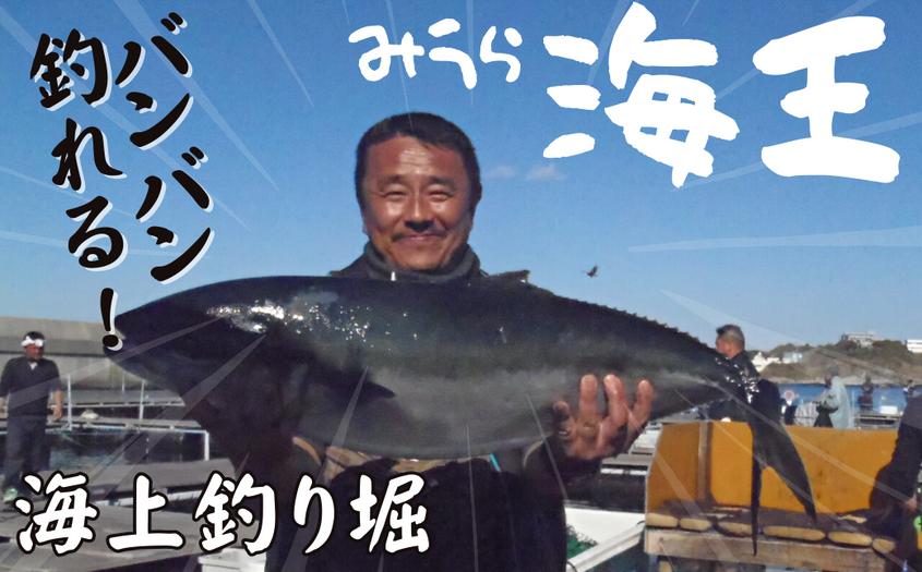
            「海上釣り堀みうら海王」無料招待券　M028-001
          