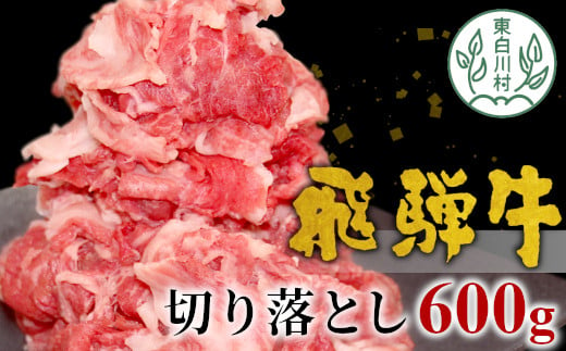 
飛騨牛 切り落とし 600g 牛肉 和牛 肉 切落し ブランド牛 国産 10000円 一万円
