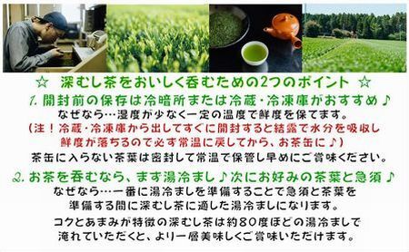 129-05-1 【知覧茶新茶祭り】【期間限定･増量】知覧茶園の特撰深むし茶 大容量 5本セット 特撰深むし茶100g付