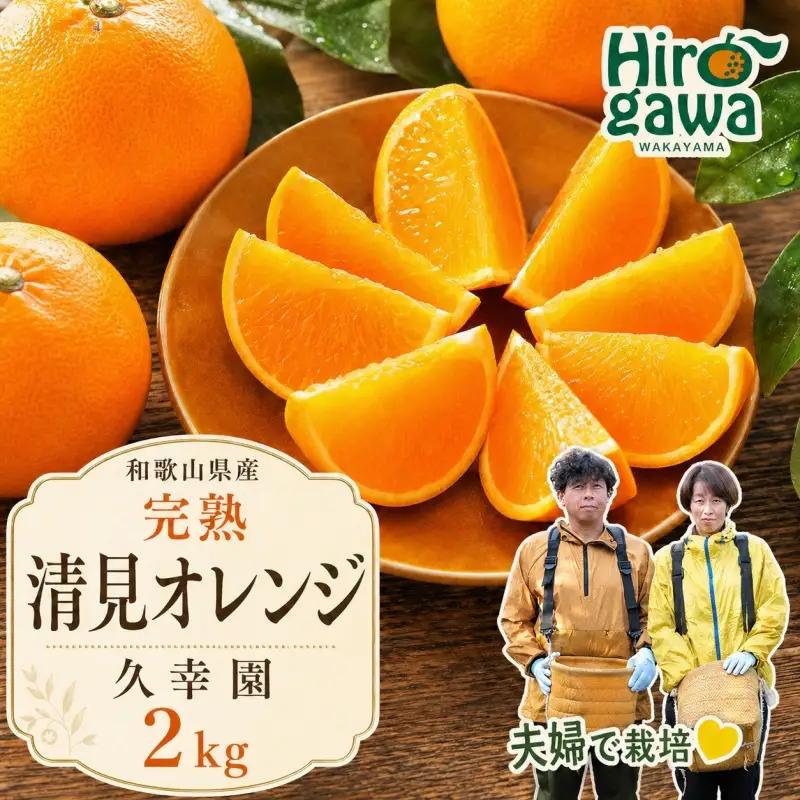 完熟 清見 オレンジ 2kg 久幸園 / 清見オレンジ 清見タンゴール きよみ 清美 甘い 高級 和歌山 柑橘 ※2027年4月上旬～5月上旬に順次発送   【hsk011-r-2A】