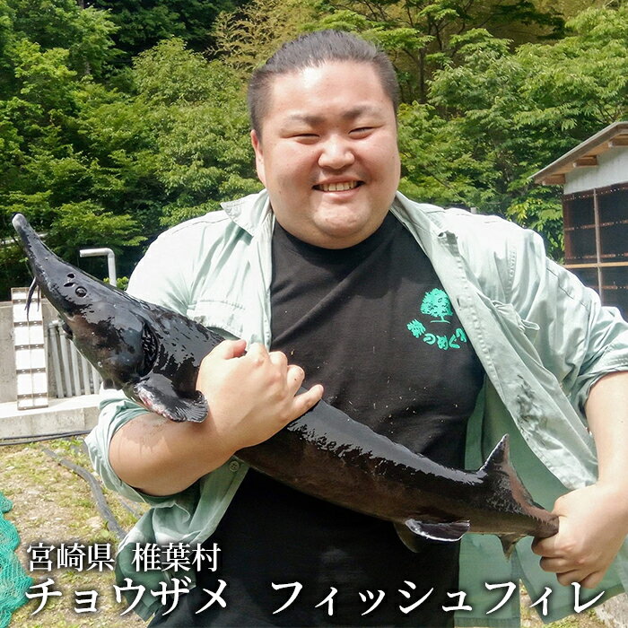 【ふるさと納税】【2025年1月より順次発送】キャビアフィッシュフィレ 1尾【800g〜1.2Kg】【SZ-119】｜国産 チョウザメ 人気 プレゼント 魚 魚介 魚卵 珍味 世界三大珍味 加工品 高級 贅沢 グルメ ギフト 誕生日 贈り物 希少 チョウザメ フィレ 切り身｜
