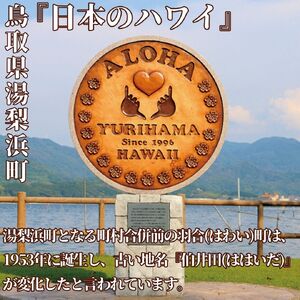 370K.YURIHAMA PEAR KA'U COFFEE 4オンス