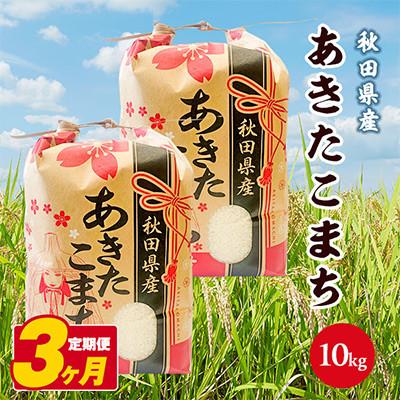ふるさと納税 潟上市 【毎月定期便】秋田県産あきたこまち 白米 10kg(5kg×2袋)全3回