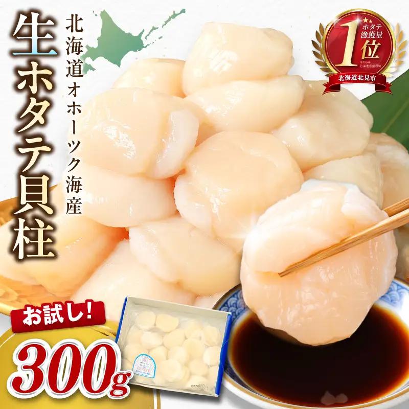 【予約：2026年10月から順次発送】北海道オホーツク海産 ホタテ貝柱 300g 生食用 ( 海鮮 魚介 魚介類 貝 ほたて 刺身 貝柱 海鮮丼 贈答 ギフト 小分け 帆立貝柱 人気 ふるさと納税 ホタテ )【239-0001】