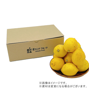 【11月上旬より発送】中島産 レモン M から L サイズ 約1.5kg | （先行予約 檸檬 レモン 国産 柑橘 レモンジャム レモンサワー ピール 中島 愛媛 松山 ） 【FA0921】