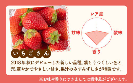 先行予約 2027年1月～発送 いちご 3品種食べ比べ！ /  いちご [IAP029]