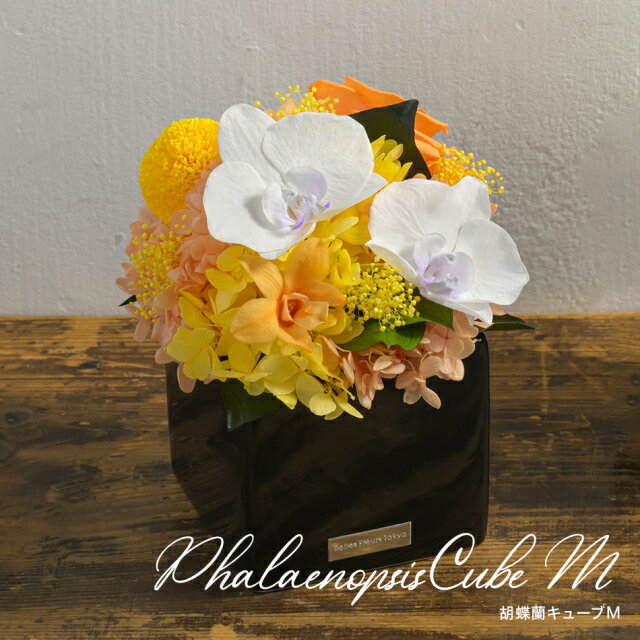 【ふるさと納税】胡蝶蘭キューブM 花 お花 プリザーブドフラワー ギフト プレゼント お祝い 誕生日 お供え アレンジ インテリア 東京都 墨田区