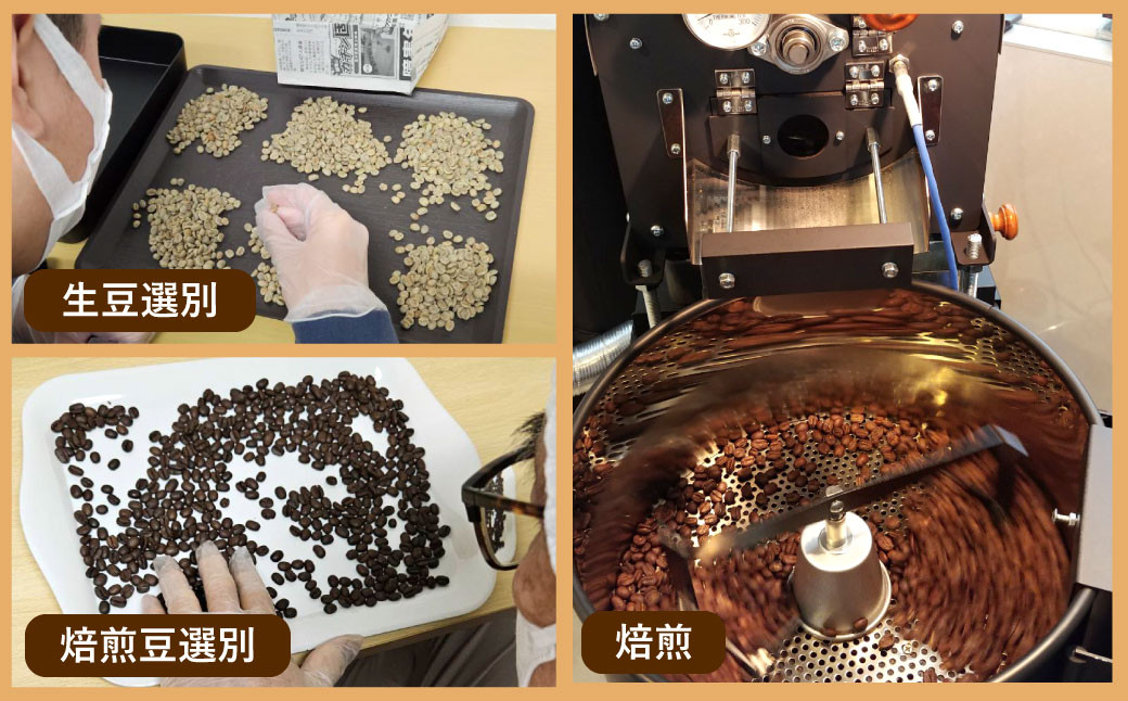 自家焙煎 コーヒー豆ドリップバッグ 5種類 計50袋 飲みくらべ セット 1袋10g