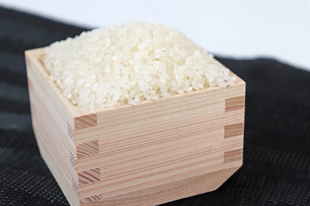 ≪令和7年産≫【新米】 岐阜 ハツシモ 約5kg