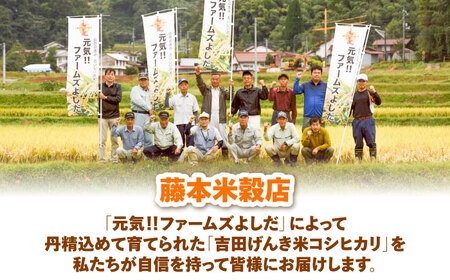 【全3回定期便】【新米】吉田げんき米コシヒカリ 2kg 島根県雲南市/有限会社藤本米穀店 ｜こしひかり 白米 精米 コメ 2キロ[AIDB119]