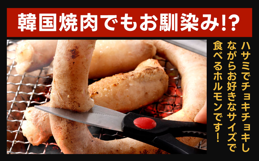 1本焼き 極太 ほるもん 太腸版 新鮮 ホルモン 塩ホルモン モツ もつ 牛モツ 牛もつ ぷりぷり 旨味 黒毛和牛 丸腸 真空パック 国産 九州産 冷凍