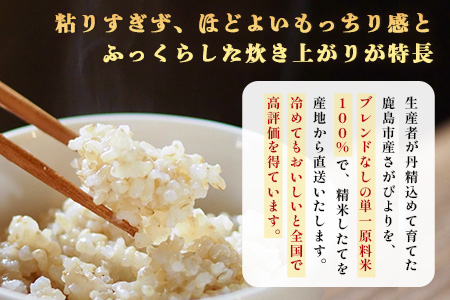 先行受付 ＼生産者直送／ さがびより 玄米5kg 佐賀県産さがびより 佐賀県鹿島市 C-152 玄米5kg