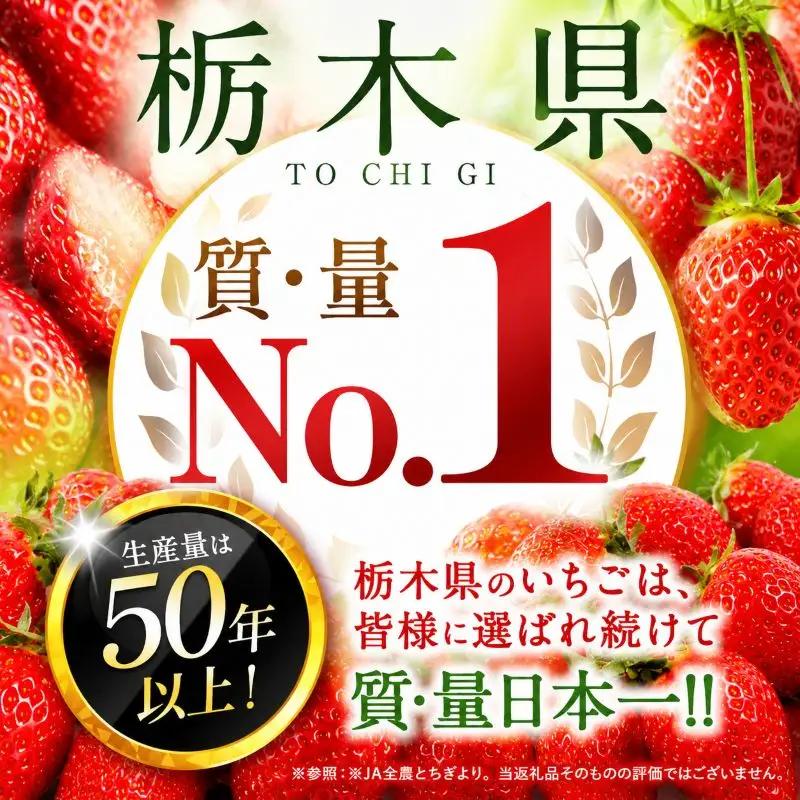 苺 いちご サイズおまかせ とちあいか 約1500g【栃木県共通返礼品 真岡市産】TT 栃木県 下野市