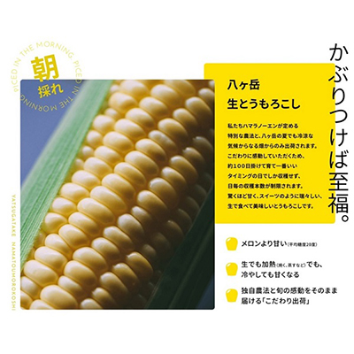 【27年先行予約】朝採れ 八ヶ岳生とうもろこし 10本〈2027年7月下旬～9月下旬発送予定〉【配送不可地域：離島】