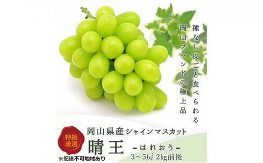 ぶどう 2025年 先行予約 シャイン マスカット 晴王 3～5房 2kg前後 （8月上旬～9月下旬発送分） ブドウ 葡萄 岡山県産 国産 フルーツ 果物 ギフト