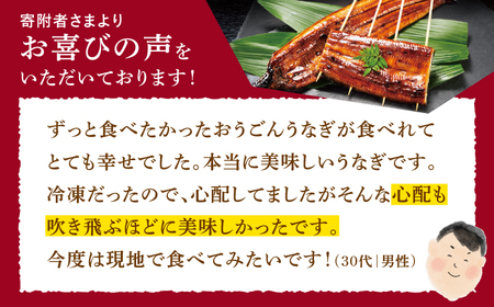 長崎県産おうごんうなぎ約300g2尾-3尾【（有）松永水産】[KAB110]/ 長崎 平戸 魚介類 魚 うなぎ 鰻 ウナギ うなぎ 蒲焼 うなぎ かばやき うなぎ うなぎ蒲焼き うなぎ おうごんうなぎ