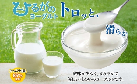 プリン ひるがの牛乳 まごころ ギフト セット プリン
