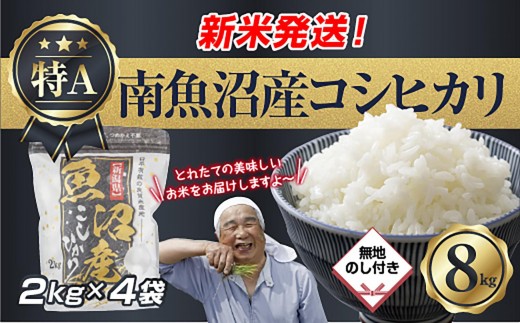 
                  【令和8年産　新米予約】「無地のし」 新潟県 南魚沼産 コシヒカリ お米 2kg×4袋 計 8kg 精米済み（お米の美味しい炊き方ガイド付き） お米 こめ 白米 こしひかり 食品 人気 おすすめ 魚沼 南魚沼 南魚沼市 新潟県産 新潟県 精米 産直 産地直送【2026年10月中旬より1ヶ月以内に順次発送予定】
                