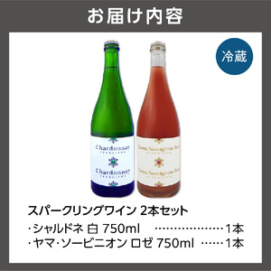 石狩市産ぶどうで作ったスパークリング 2本セット