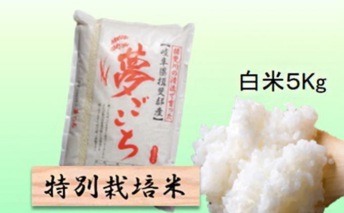特別栽培米★白米５kg 【夢ごこち】 玄米は別に出品 お米 ブランド米 銘柄米 精米 ご飯 おにぎり モッチリ 甘い 低アミロース米 