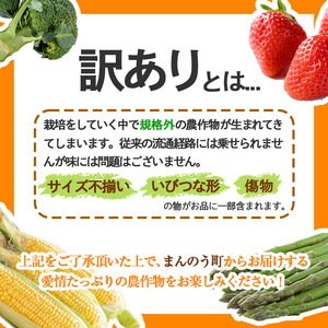 ＜先行予約！2025年2月下旬以降順次発送予定＞＜訳あり・家庭用＞香川県産 不知火(約5kg)  まんのう町 特産品 香川県 生もの 国産 果物 フルーツ 不知火 しらぬい みかん ミカン 柑橘 新鮮