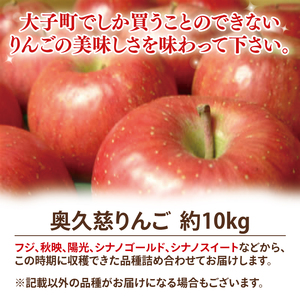 先行予約 奥久慈 りんご 10kg 24～40玉 樹上完熟 茨城県 大子町 フルーツ 果物 国産 詰め合わせ ふじ 秋映 陽光 シナノゴールド シナノスイート 秋 旬 お取り寄せ 数量限定 【2026
