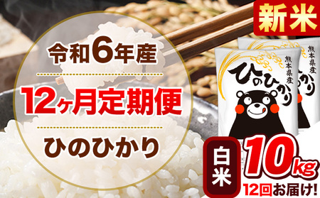 令和6年産新米 【12ヵ月定期便】 白米 ひのひかり 定期便 10kg 5kg×2袋《お申込み翌月から出荷開始》 熊本県産 精米 ひの 米 こめ ヒノヒカリ コメ お米