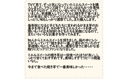 【先行予約】(2026年10月末～発送予定) ミエルスイート 2.5キロ | さつまいも サツマイモ 芋 いも ミエルスィート おやつ スイーツ いも天 芋天 焼き芋 焼いも 焼芋 やきいも お試し おためし 食べきり 少量 高知県 南国市