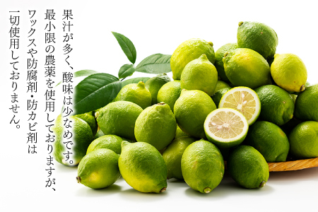 AA079.貴重な国産レモン.約5kg.新宮町産の逸品です／2026年9月～2027年2月発送予定
