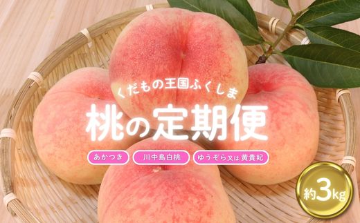 No.2026【2025年発送分】ふくしまの桃 約3kg 定期便3回【贈答用】