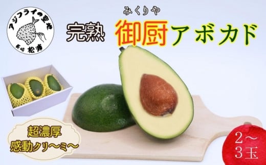 
            完熟国産アボカド「御厨(みくりや)アボカド」2玉～3玉( アボカド 国産 御厨アボカド 果物 )【B5-030】
          