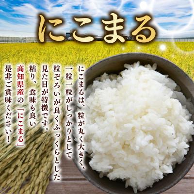 ふるさと納税 安芸市 にこまる 10kg 令和7年産 白米 |  | 01