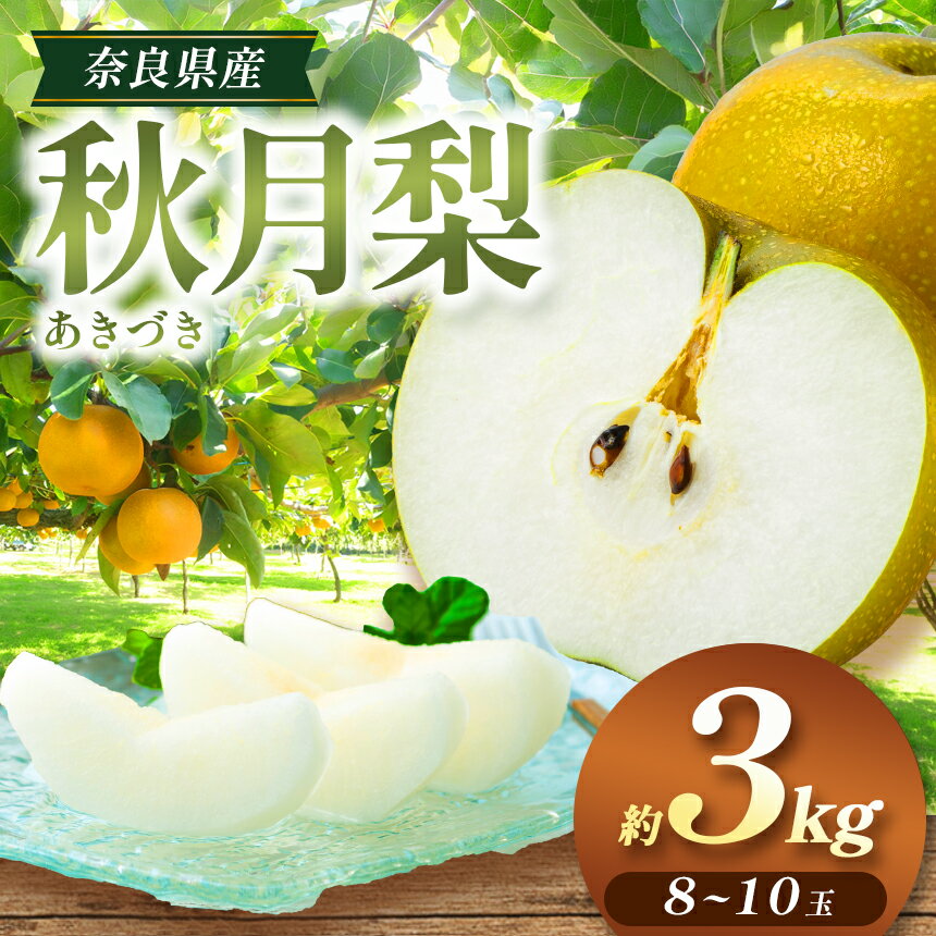 【ふるさと納税】あきづき梨 L～3L 約3kg 8～10玉 | フルーツ 果物 くだもの 梨 なし あきづき梨 秋月梨 季節限定 減農薬栽培 奈良県 大淀町 真田園 メディア紹介