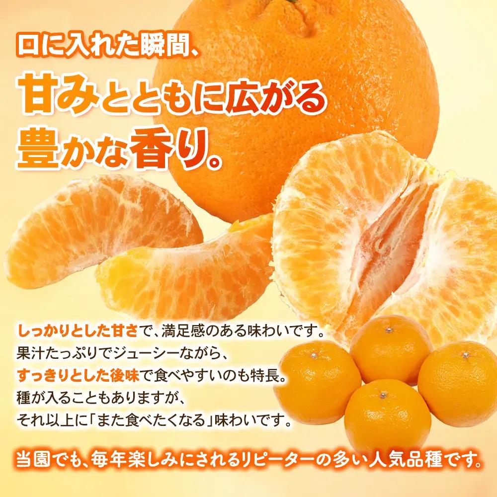 【先行予約】ポンカン みなと農園のポンカン 約10kg 【mntf0012】