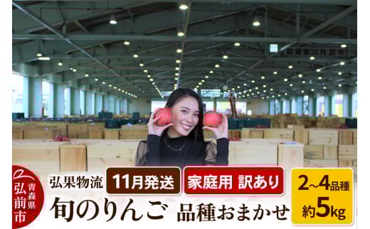 【25年11月発送】りんご 家庭用 訳あり 旬のりんご 品種おまかせ 約5kg 2品種～4品種