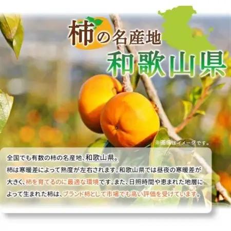 【2026年11月発送】【ご家庭用わけあり】和歌山秋の味覚　富有柿　約3.5kg【1270077】
