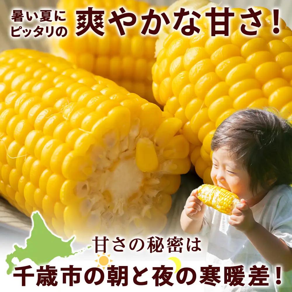 2026年夏発送 とうもろこし ゴールドラッシュ L～2L 16本