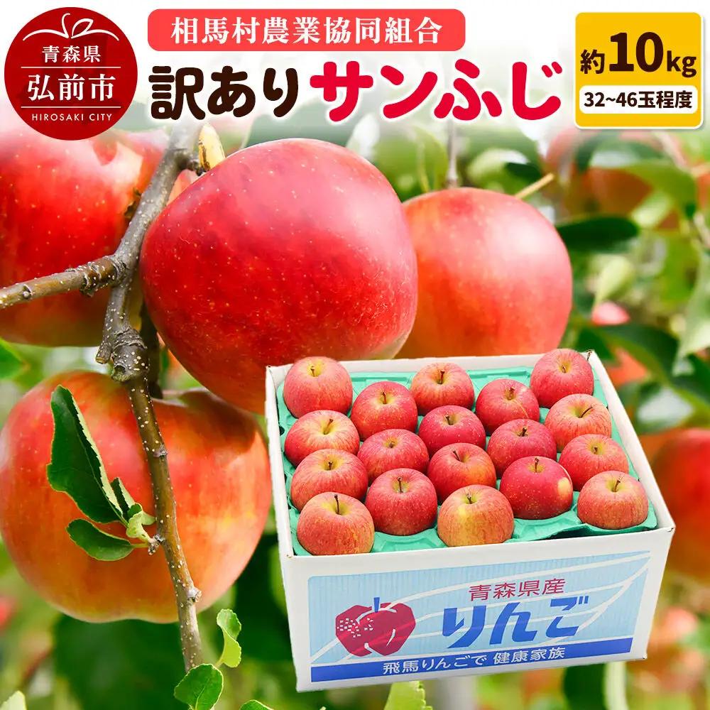 りんご サンふじ 訳あり 約10kg【3月クール便発送】りんご