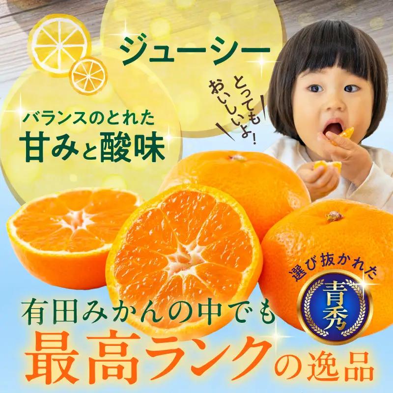 【2026年先行予約】「高級 田村みかん」 青秀 約3kg Lサイズ 和歌山県有田産 有田みかん_U6240n