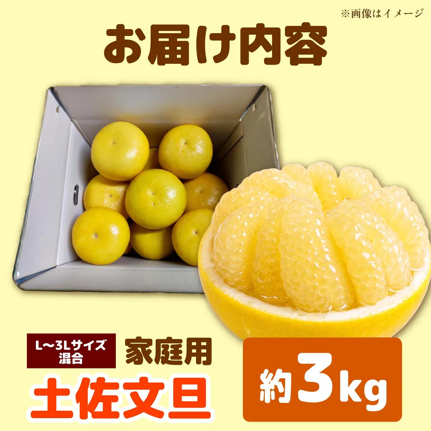 【先行予約】土佐文旦 家庭用 約3kg（L-3Lサイズ混合：5-8玉入り） 文旦 ぶんたん ブンタン 柑橘 フルーツ デザート 果物 ご当地 人気 名産＜2027年1月下旬から順次発送＞【玉木農園】 