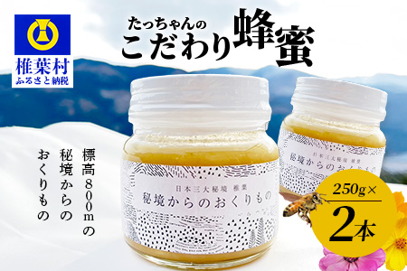 標高800m たっちゃんのこだわり蜂蜜【250g×2本】送料無料 宮崎県 椎葉村 秘境 蜂蜜 はちみつ ハチミツ みつばち ミツバチ 伝統的 養蜂 国産 天然 百花蜜 巣箱 数量限定 季節 希少 250g 500g【TN-02】