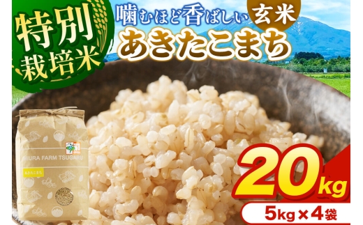 米【特別栽培米】あきたこまち 玄米 20kg（5kg×4袋）令和7年産 青森県弘前市産 [20キロ 5キロ 小分け あきたこまち 特別栽培米 玄米 ブランド米 青森県 弘前市産]