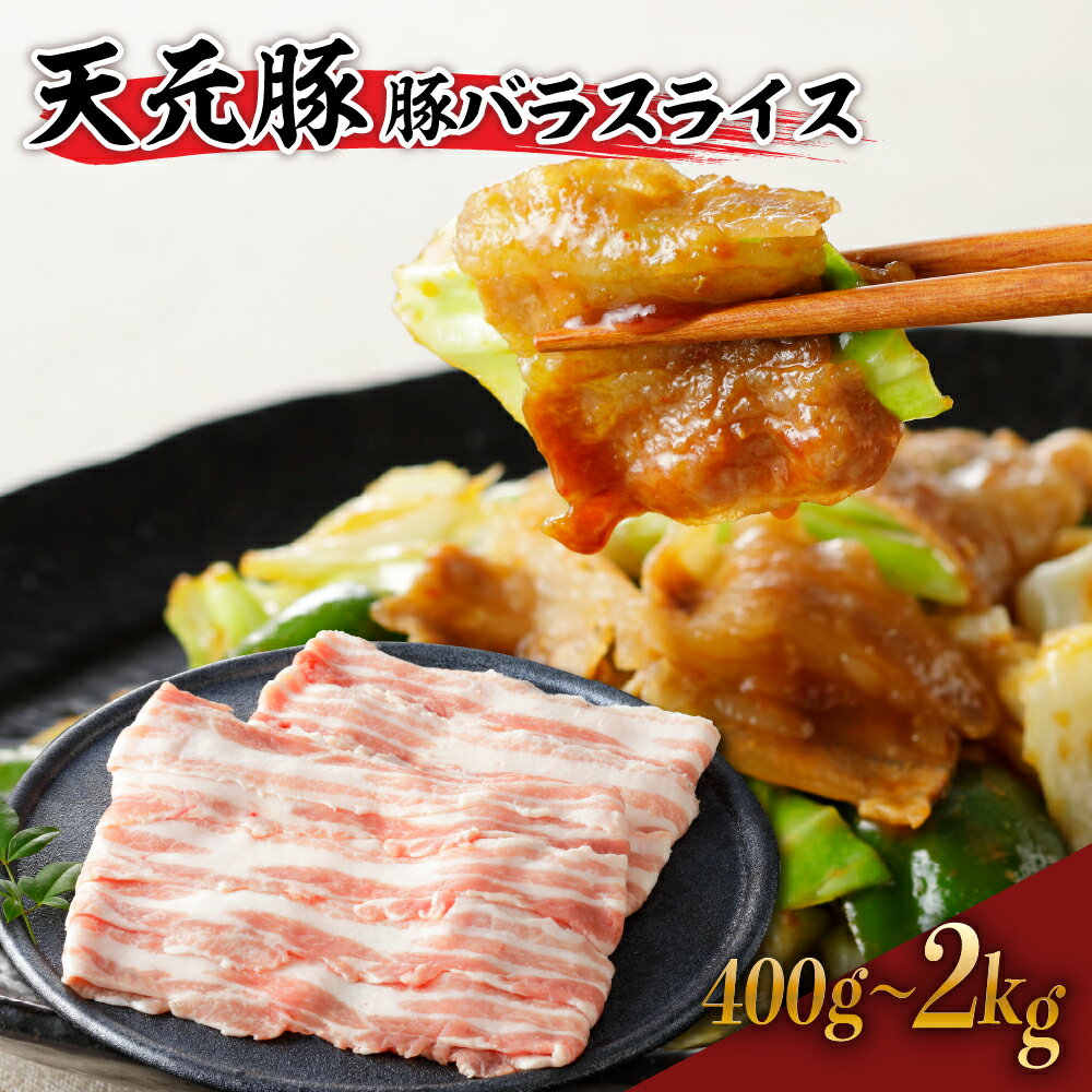 【ふるさと納税】天元豚 豚バラ スライス 400g ~ 2kg （ 200g × 2~10パック ）内容量が選べる 豚バラ肉 肉 豚肉 ブランド豚 ポーク おかず お取り寄せ グルメ 冷凍便 送料無料 山形県 米沢市